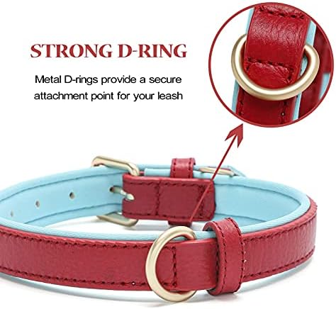 Leather Dog Collar for Small Medium Large Dogs Soft Waterproof Padded Puppy Collars