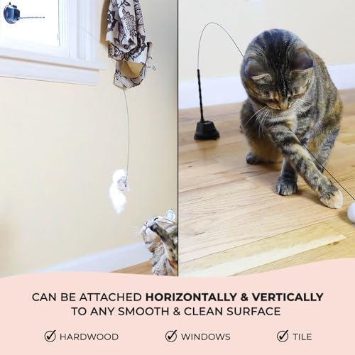 Whiskertons Interactive Bird Simulation Cat Toy Set, Interactive Cat Toys for Indoor Cats, Cat Feather Toy, Self-Holding Suction Cup, 5 Catnip Birds, Feathers, Bells (Catnip Bird Toy Set with 5 Birds)