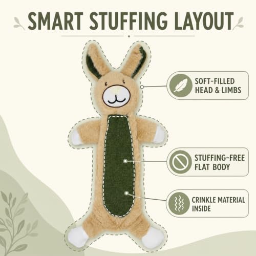 Rabbit Squeaky Plush Dog Toy with Crinkle for Puppies, Small/Medium Dogs