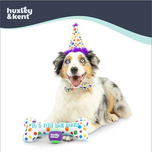 Huxley & Kent Celebration Box for Dogs, Happy Barkday, Small