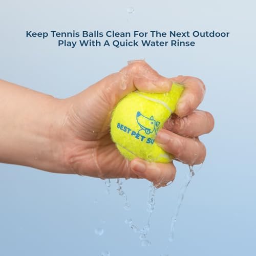 Best Pet Supplies Interactive Squeaky Dog Chew Toy, Ideal Dog Toys for Chewers, Small, Medium & Large Dogs, and Fetch Lovers - Tennis (Yellow), Small (Pack of 4)