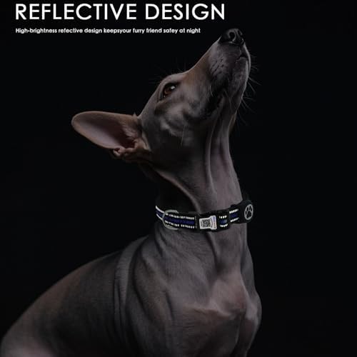 Dog Collar with Tracker Holder and QR Code ID, Waterproof Bluetooth Tracker Case, Reflective Padded Nylon for Small Medium Large Dogs