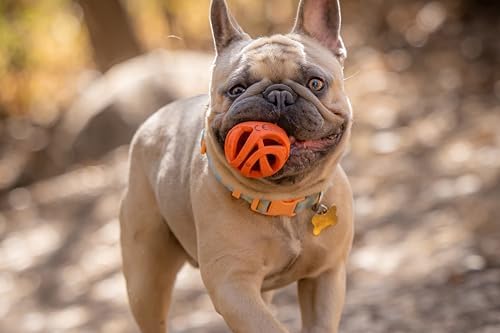 Chuckit! Air Fetch Dog Toy,(2 Inch Diameter), for Dogs 0-20 lbs, Ball - Small (Pack of 12)