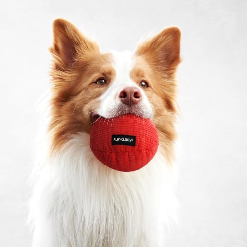Playology Durable Plush Ball Toy - Crinkle Ball - Medium, Beef Scent
