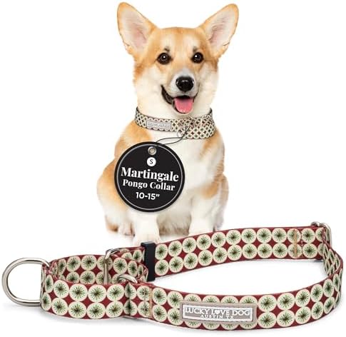 Lucky Love Dog Martingale Collar for Small Dogs No Slip Cute – Pongo, Small