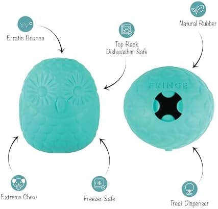 Fringe Studio You're A Hoot Turquoise Rubber Dog Toy, Pet Shop Collection (518046)