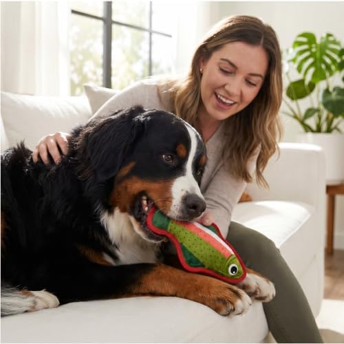 Outward Hound Tough Skinz Dog Toy with Jumbo Squeaker, Trout, 9.5"