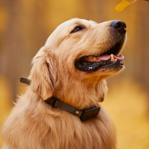 Additional E Collar Receiver for Dog Training, Compatible with Remote, Multi Dog Control, Waterproof Shock Vibration Beep Boost Modes, Adjustable Electric Collar for Large Medium Small Dogs