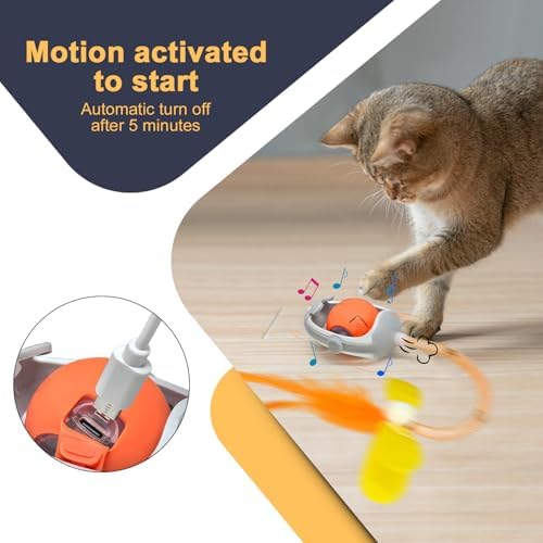 Interactive Cats Toys Ball, Newly IMAGINABLE Agile Mice Moving Ball, Mice&Bird Voice Attract, Elastic Mesh Tail, Automatic Kitten Toys, 2 Replacement Feather, for Bored Adult Indoor Cats