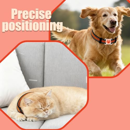 GPS Pet Tracker for Dogs & Cats, No SIM Card or Monthly Fees | 1-Minute Location Updates, Adjustable Collar Included, 1-Year Replaceable Battery, IPX7 Waterproof, iOS & Android