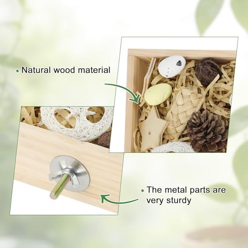 Bird Foraging Toys Box, Wooden Foraging for Bird,Wood Color, L