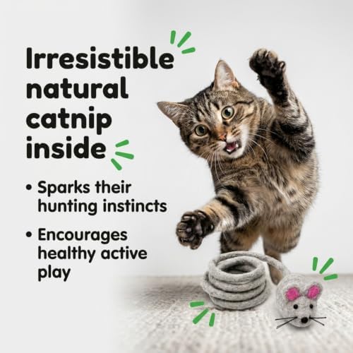 Glaciart One Wool Felt Cat Toys for Indoor Cats, 12-Piece Catnip Set
