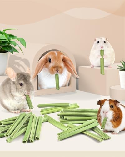 Bissap 50PCS Rabbit Chew Sticks, Natural Papaya Stems Bunny Chews Treats for Rabbits Hamsters Chinchillas Guinea Pigs Small Animals Organic Molar Chewing Snack