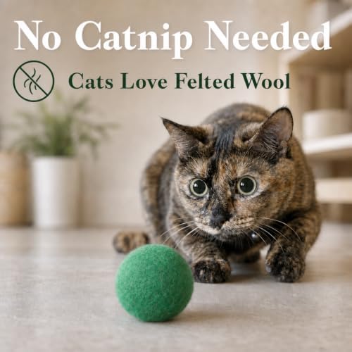 Felted Wool Cat Ball Toys, Green, 6PCS