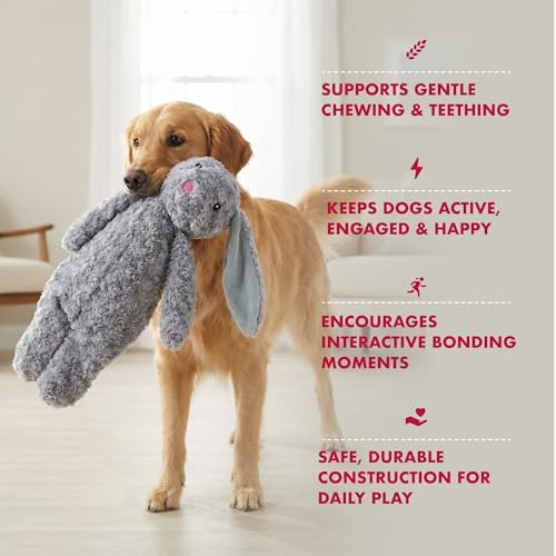 Petlou Stuffingless Floppy Plush Dog Toys with Durable Squeak and Crinkle Paper Dog Chew Toys for Large Dogs and Medium Dogs (Gray, 19 Inch Floopy Rabbit 2)