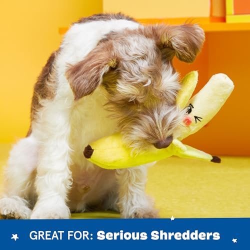 BarkBox Go Bananas 2-in-1 Interactive Plush Dog Toy