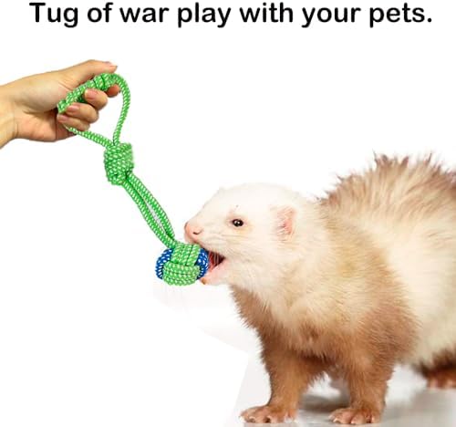 18 pcs Ferret Squeaky Enrichment Toys Set Rubber Balls Ferret Teeth Grinding Chewing Balls Teething Bouncy Bell Ball Interactive Sound Squeaker Toy Exercise Scratch Chew Toy for Ferrets Pet Cat Dog