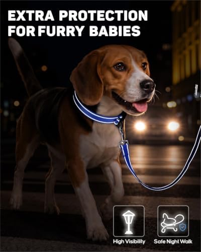 Padded Dog Collar with Waterproof Holder Compatible with Airtag