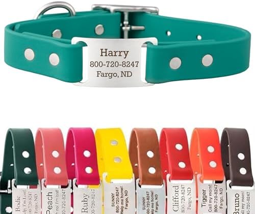 dogIDs Personalized Dog Collar – ScruffTag Custom Waterproof Biothane Dog Collar with Laser-Engraved Name, Durable & Odor-Resistant – USA Made | Teal, 1 in x 20 in (Fits Neck Sizes 18-22 in)