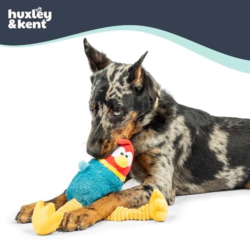 Huxley & Kent Funny Dog Toy w/Squeaker – Power Plush Squeaky Dog Toys for Small, Medium & Large Dogs – Soft Stuffed Animal for Indoor Play & Fetch - Squeak to Crunch - Lankies Red Rooster, Small