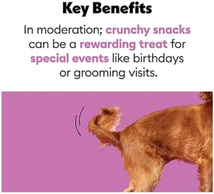 Wiggles & Wags Neapolitan Dog Cookies, Strawberry, Vanilla & Carob Flavors, 14 oz with DN Essentials Bone Shaped Waste Bag Dispenser & Roll