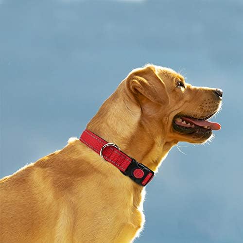 Taglory 14"-20" Dog Collar and 6 FT Dog Leash Set, Highly Reflective Threads Dog Leash, Adjustable Reflective Dog Collar with Safety Locking Buckle for Medium Dogs