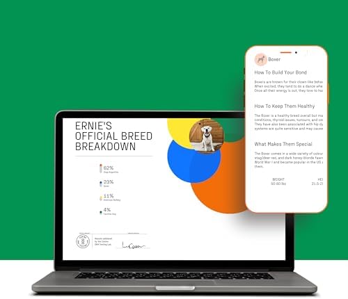 DNA MY DOG – Ultimate Health & Breed Bundle | Canine Allergy Test (120+ Allergens) & Breed ID Test (350+ Breeds) | Non-Invasive Cheek Swab, Fast Results, Detailed Reports & Personalized Tips