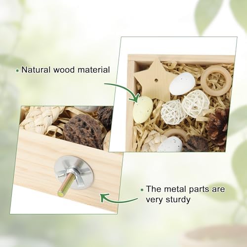 Bird Foraging Toys Box, Wooden Foraging for Bird, Wood Color M
