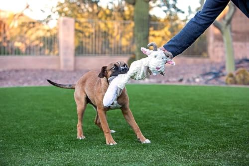 Jolly Pets Fat Tail Dog Toy, Large, Kangaroo
