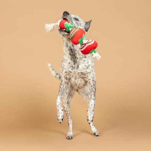 Fringe Studio Plush Dog Toy with Rope, Covered with Love, Petshop Collection (314495)