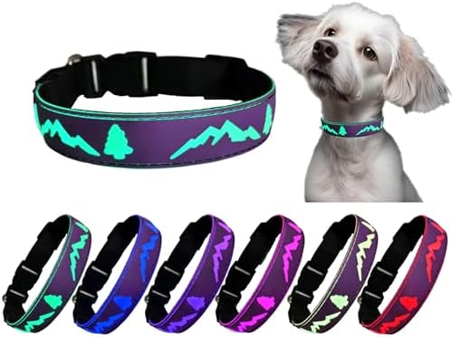Personalized Light up Dog Collars Rechargeable with Waterproof airtag Holder for Black Dog Night Walking (Purple Collar 15 Modes Lighting, S(7.87-11.8"))