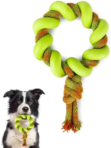 ALL FOR PAWS 6.1" Dog Ring Toy, Flying Ring for Fetch, Training & Outdoor Play, TPR Foam & Rope Dog Toy for Throwing, Catching, Tug Toys for Small, Medium & Large Dogs