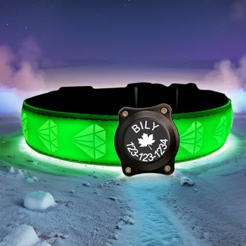 Personalized Dog Collar Waterproof airtag Dog tag Holder,USB C Light up Night Black Dog Collar (Green, M(11.8-15.7"))