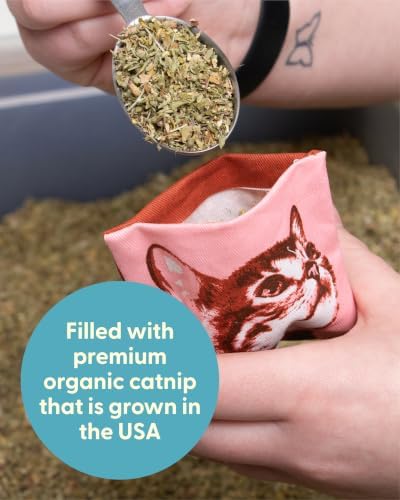 Blue Q Catnip - Cute Cat Toys for Biting w/Funny Graphics - It's Me Muffin