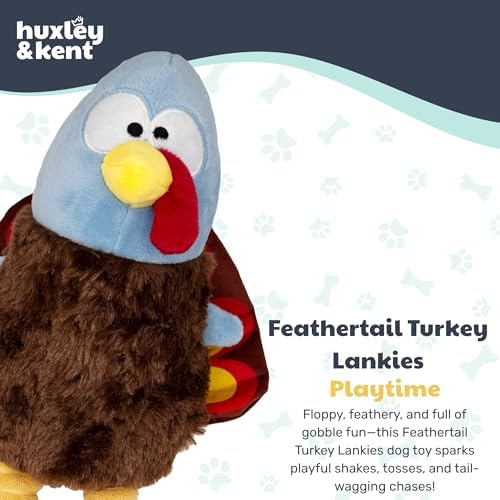 Huxley & Kent Funny Dog Toy w/Squeaker – Halloween Power Plush Squeaky Dog Toys for Small, Medium & Large Dogs – Soft Stuffed Animal for Indoor Play & Fetch - Lankies Feathertail Turkey, Small