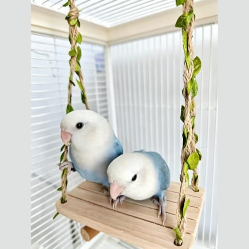 Hanging Bird Swing Bird-Toys Bird Cage Toys & Bird Perch Natural Wood