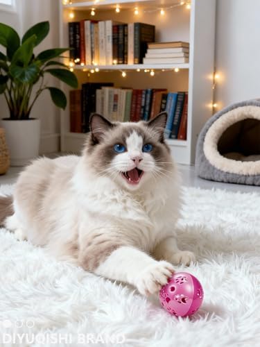 10 Pack Cat Jingle Balls Assorted Plastic Play Toys for Indoor Kittens