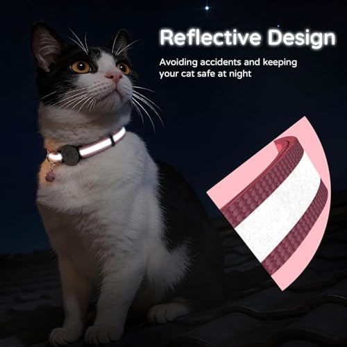 Breakaway Cat Collar QR Code, Reflective Bell, Adjustable Kitten Blue/Pink