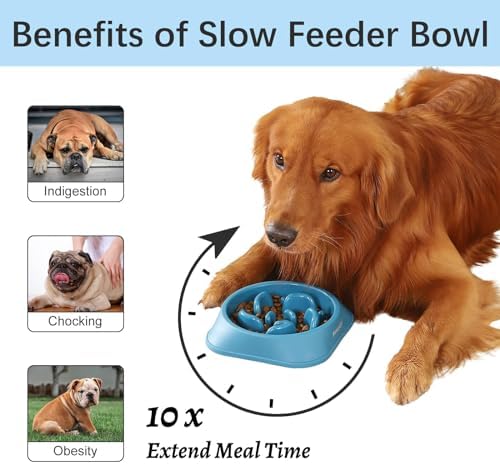 MateeyLife 1-Pack Slow Feeder Dog Bowls, 2 Cups, Dog Puzzle Feeder Bowl