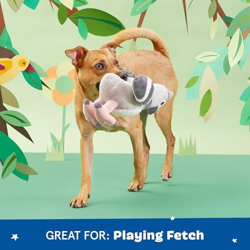 BarkBox Flappin' Flossie Dog Toy - for Dogs