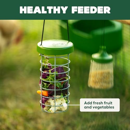 Omlet Caddi Rabbit Treat Holder | Strong and Durable Hay Rack for Small Animals | Interactive Toy | Attaches Easily to Any Rabbit Run | Durable Welded Steel Food Dispenser
