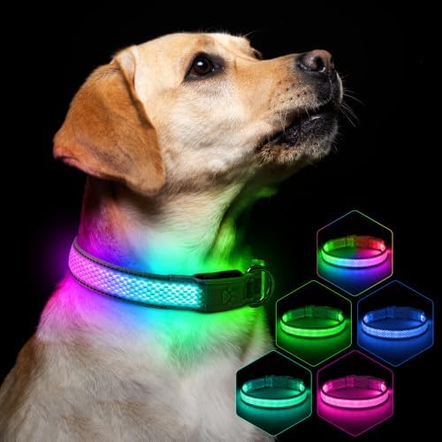Flashseen Light up Collars for Dogs at Night, 9-Mode Glow, USB Rechargeable | Color Changing LED Lighted Dog Collar, Super Bright Adjustable Glow Collar for Night Walking (Lavender, Small)