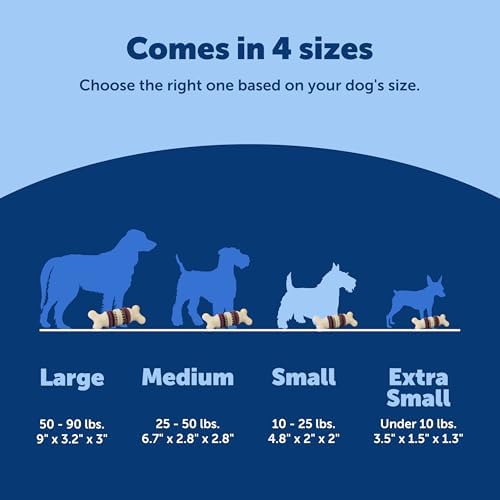 PetSafe Busy Buddy Bristle Bone Dog Treat Holding Chew Toy, Small