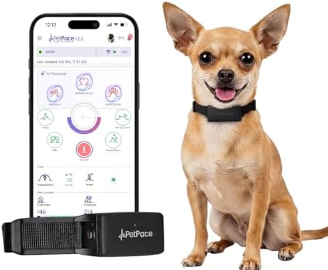 NEW Dog Health Monitor V3.0 by PetPace – AI Smart Collar with 24/7 Vital Signs, Pain & GPS Tracking, Telehealth AskaVet & Share With Your Vet, Smartwatch Sync – Subscription Required (Small)