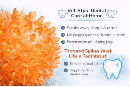 Squeaky Spiky Dog Balls for Teeth Cleaning & Gum Massage 2.5 Inch Small Medium Dogs Orange | Spiny TPR Rubber Chew Toys for Fetch Play Interactive Bouncy Dental Balls BPA Free Nontoxic Floats - 3 Pack