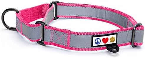 Pawtitas Personalized Dog Collar Martingale Dog Collar with Name Phone Number Reflective Martingale Dog Collar Customized Collar for Medium Dogs | Pink Custom Dog Collars for Medium Dogs