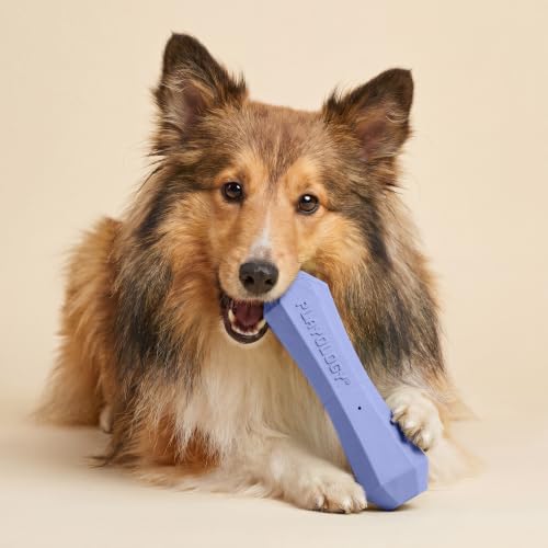 Playology Squeaky Chew Stick - Scented Dog Toy - Medium, Blueberry Scent
