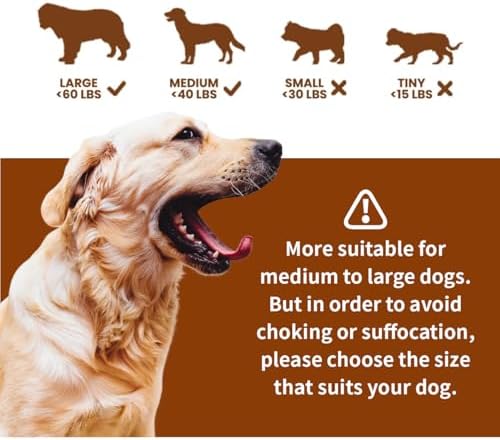 LaRoo Squeaky Dog Ball Toy, Durable Natural Rubber Squeaker Ball Floating Throwing Training, Teeth Cleaning Chew Toy for Pet Small Medium Large Dogs (3.5In Orange)