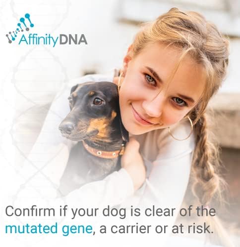 Dog Uric Acid DNA Test for Hyperuricosuria | Home Sample Collection Kit for 1 Canine | Dogs Uric Acid Testing | Results in 10-15 Working Days | A Complete Kit with No Extra Fees