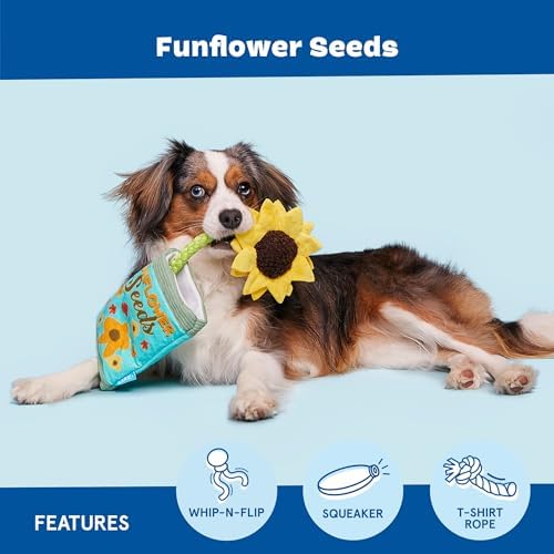 BarkBox Funflower Seeds Dog Toy - Toy for Extra Small to Medium Dogs